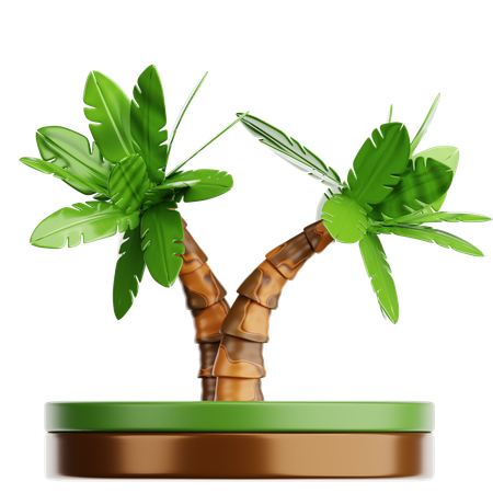 Palme  3D Icon