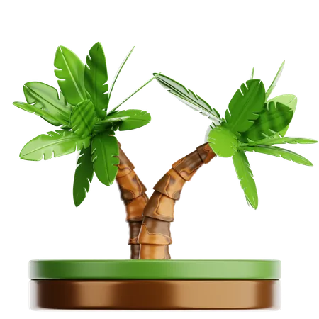 Palme  3D Icon