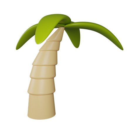 Palme  3D Icon