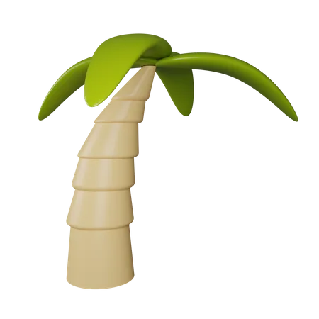 Palme  3D Icon