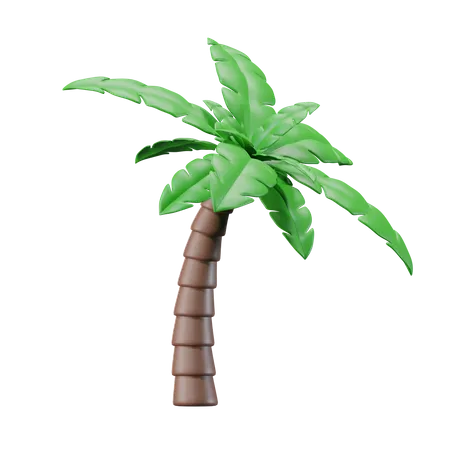 Palme  3D Icon