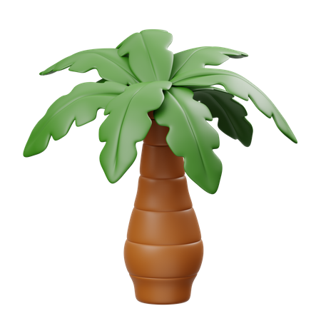 Palmeira  3D Icon