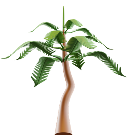 Palmera  3D Icon