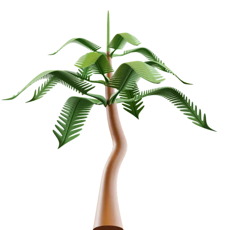 Palmera  3D Icon