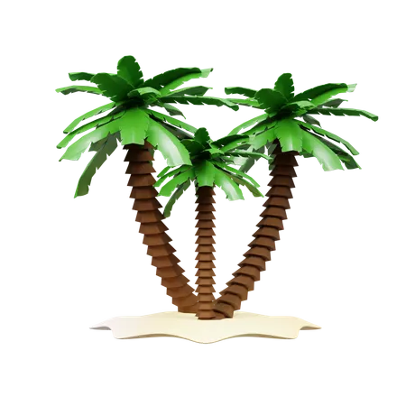 Palmera  3D Icon