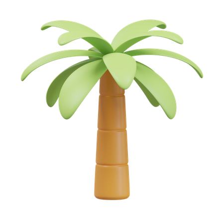 Palmera  3D Icon