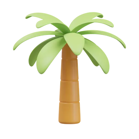 Palmera  3D Icon