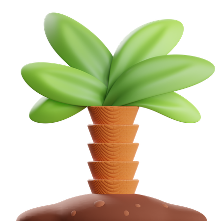 Palmera  3D Icon