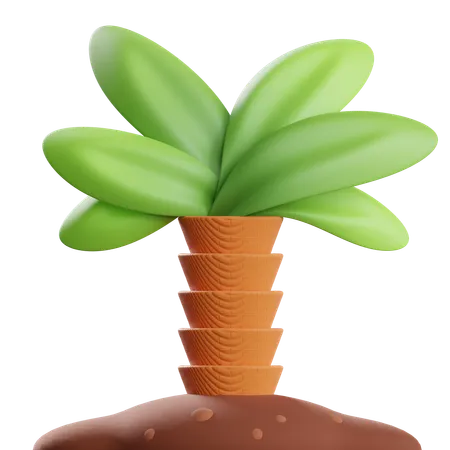 Palmera  3D Icon