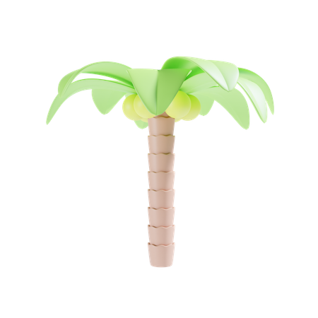 Palmera  3D Icon