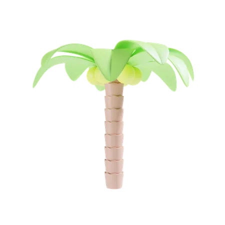 Palmera  3D Icon