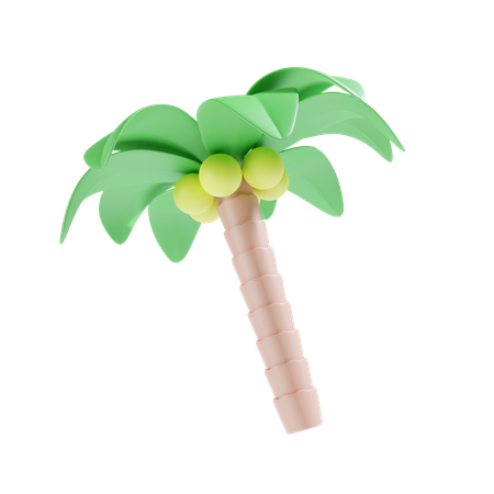 Palmera  3D Icon