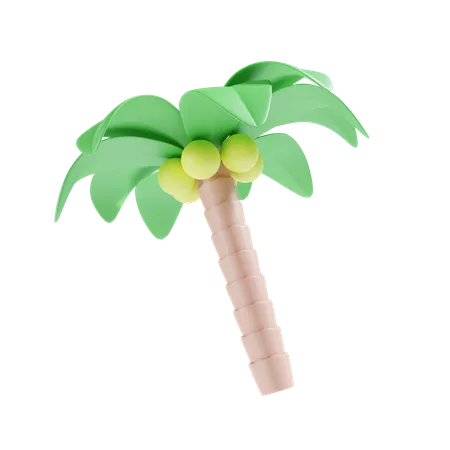 Palmera  3D Icon