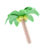 palmera