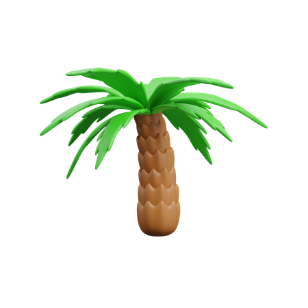 Palmera  3D Icon