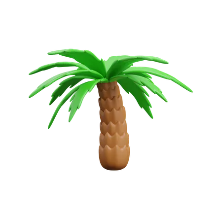 Palmera  3D Icon