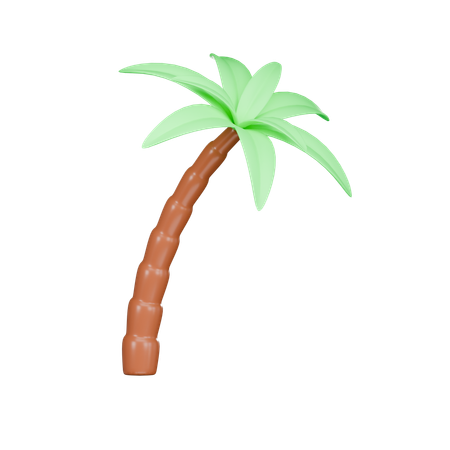 Palmera  3D Icon