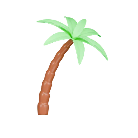 Palmera  3D Icon