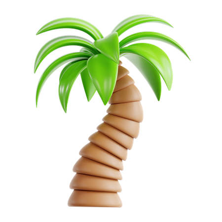 Palmera  3D Icon