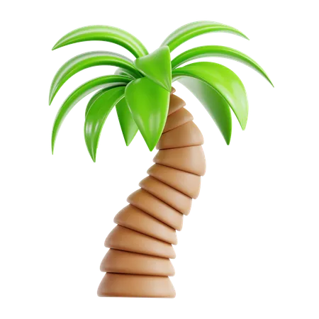 Palmera  3D Icon