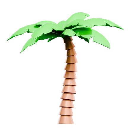 Palmera  3D Icon