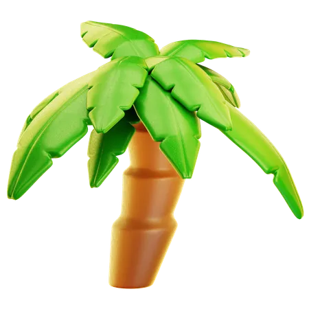 Palmera  3D Icon