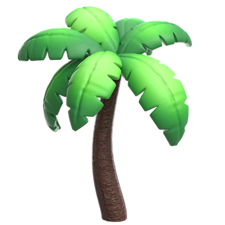 Palmera  3D Icon