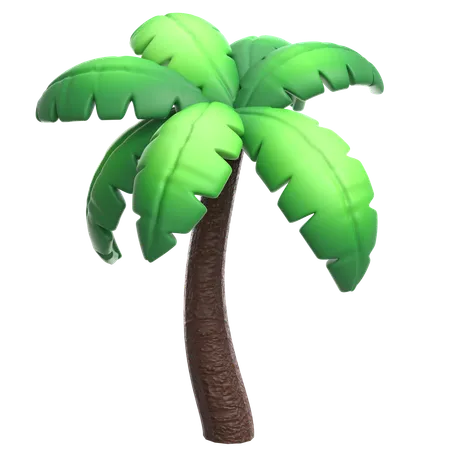 Palmera  3D Icon