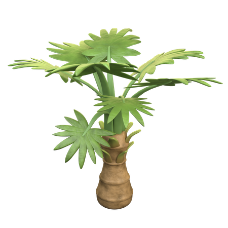 Palmera  3D Icon