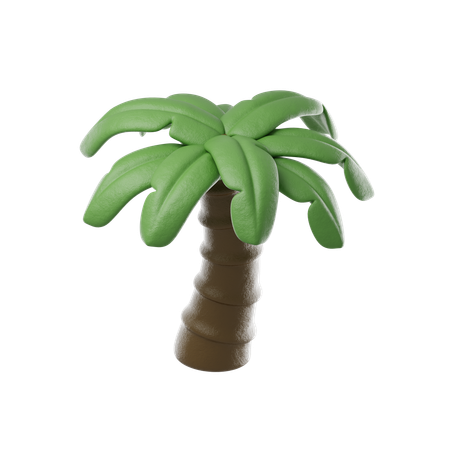 Palmera  3D Icon