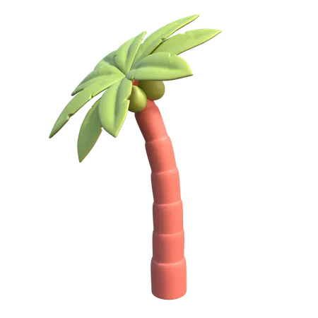 Palmera  3D Icon