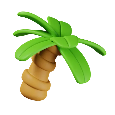 Palmera  3D Icon