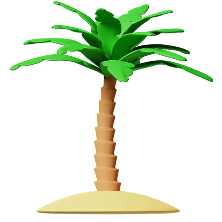 Palmera  3D Icon