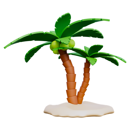 Palmera  3D Icon