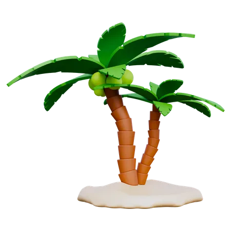 Palmera  3D Icon