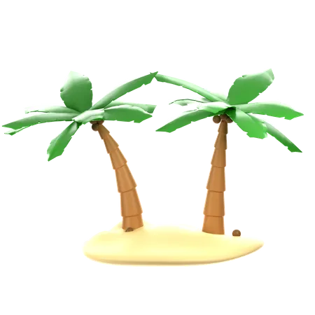 Palmera  3D Icon