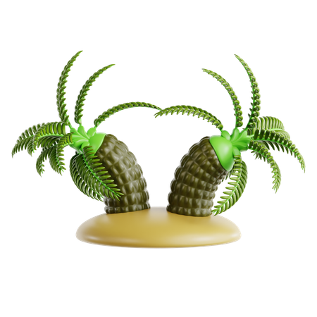 Palmera datilera pigmea  3D Icon