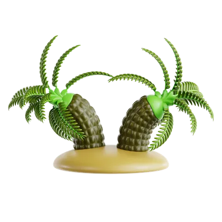 Palmera datilera pigmea  3D Icon