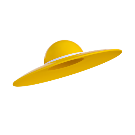 Sombrero pamela  3D Illustration