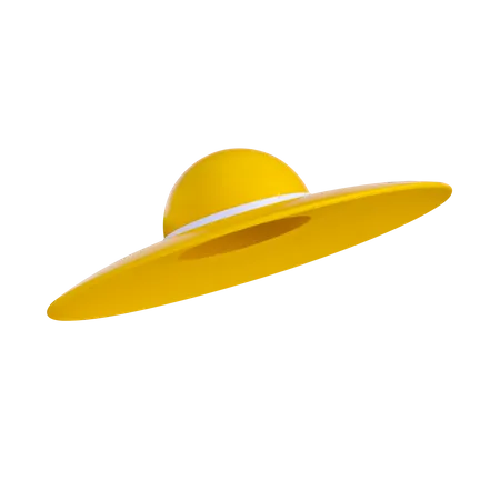 Sombrero pamela  3D Illustration