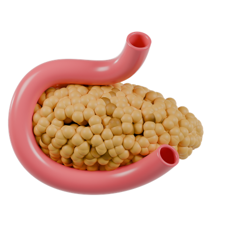 Páncreas  3D Icon