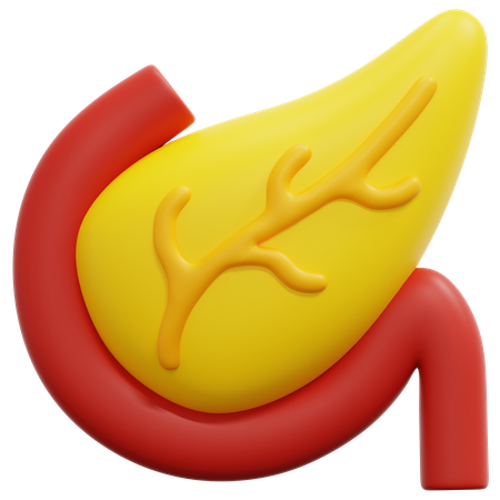 Pancreas  3D Icon