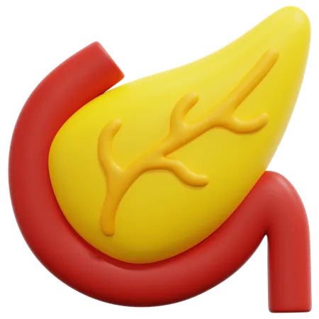 Pancreas  3D Icon