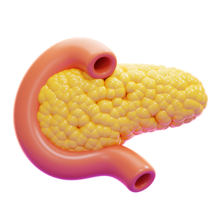 PANCREAS  3D Icon