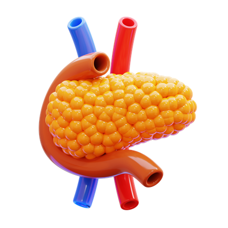 Pancreas  3D Icon