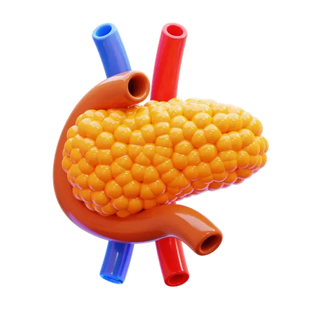 Pancreas  3D Icon