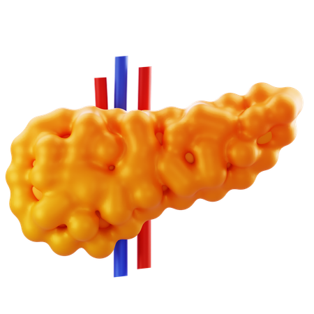 Pancreas  3D Icon