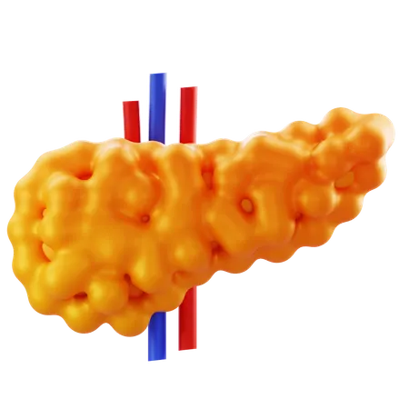 Pancreas  3D Icon