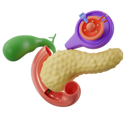 Páncreas con célula  3D Icon