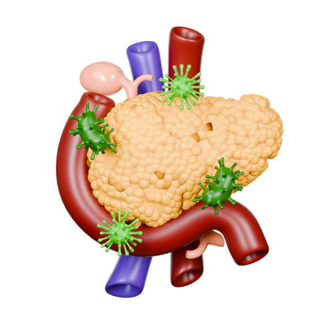 Pancreas Diseases  3D Icon